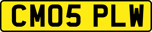 CM05PLW