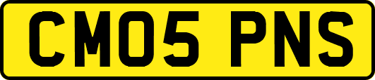 CM05PNS