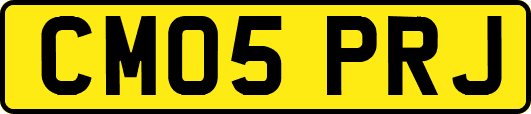 CM05PRJ