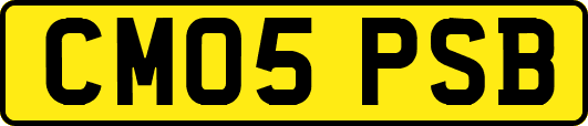 CM05PSB