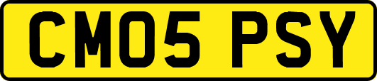 CM05PSY