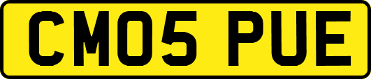 CM05PUE