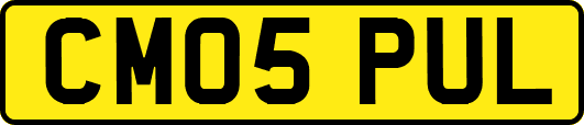 CM05PUL
