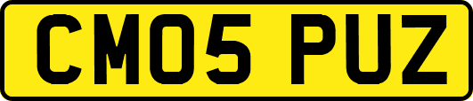 CM05PUZ
