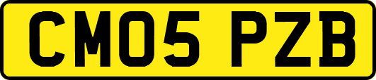CM05PZB