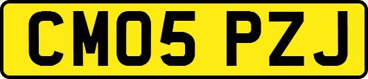CM05PZJ