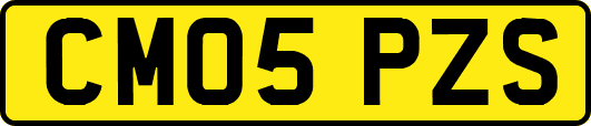 CM05PZS