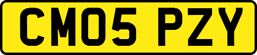 CM05PZY