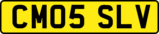 CM05SLV