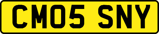 CM05SNY