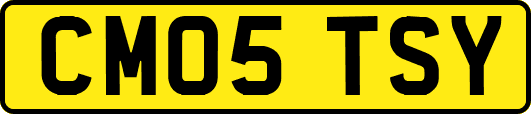 CM05TSY