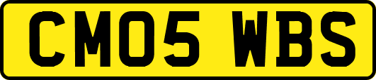 CM05WBS