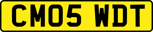 CM05WDT