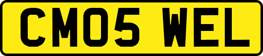 CM05WEL