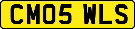 CM05WLS