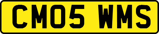 CM05WMS