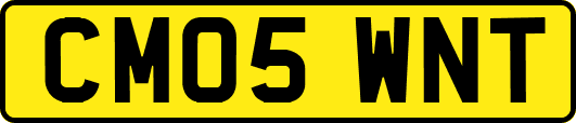 CM05WNT