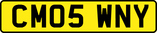 CM05WNY