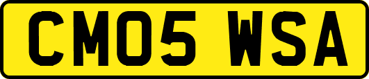 CM05WSA