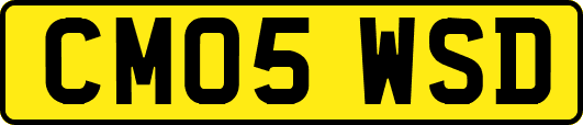 CM05WSD