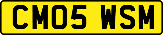 CM05WSM