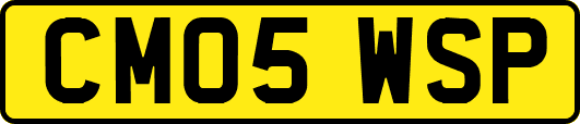 CM05WSP