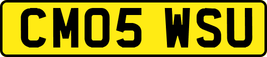 CM05WSU