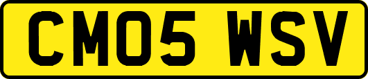 CM05WSV