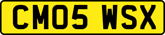 CM05WSX