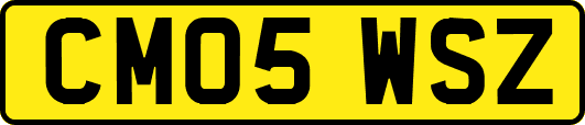 CM05WSZ