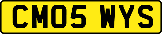 CM05WYS