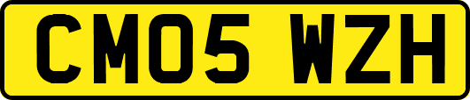 CM05WZH