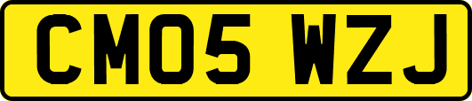 CM05WZJ