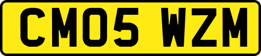 CM05WZM