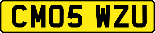 CM05WZU