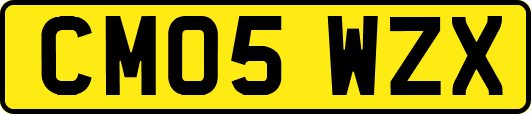 CM05WZX