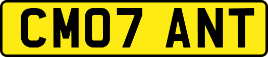 CM07ANT