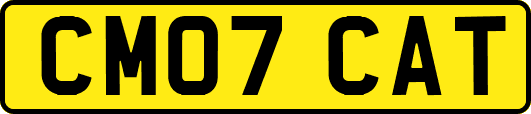 CM07CAT