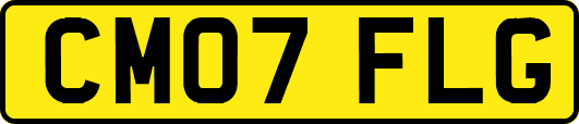 CM07FLG