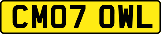 CM07OWL