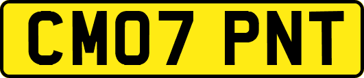 CM07PNT