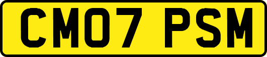 CM07PSM