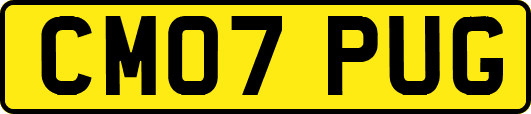 CM07PUG