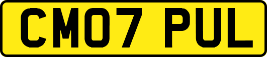 CM07PUL