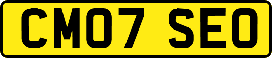 CM07SEO
