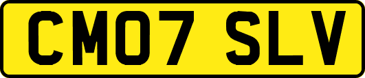 CM07SLV