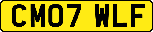 CM07WLF