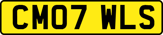 CM07WLS