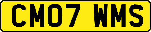CM07WMS