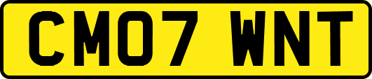 CM07WNT